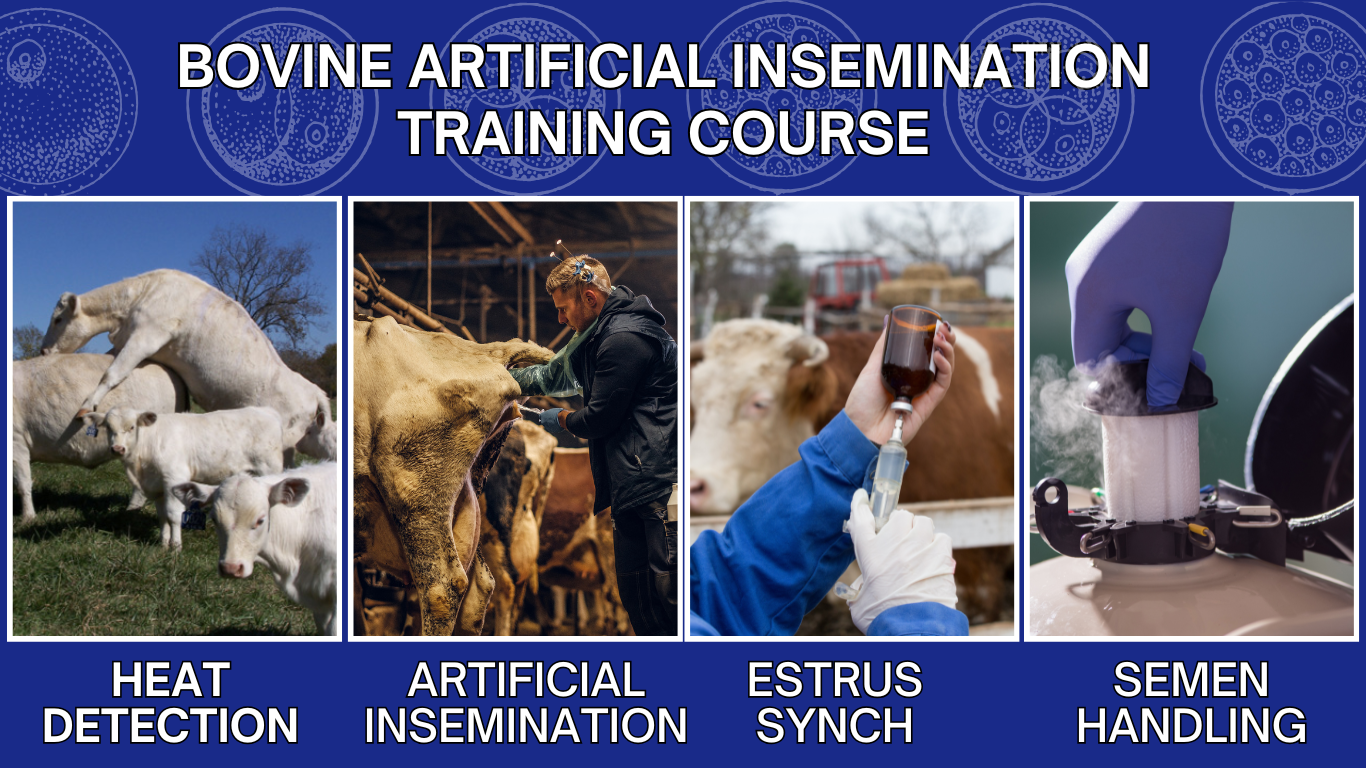 Artificial Insemination and Embryo Transfer Course Artificial Insemination and Embryo Transfer Course