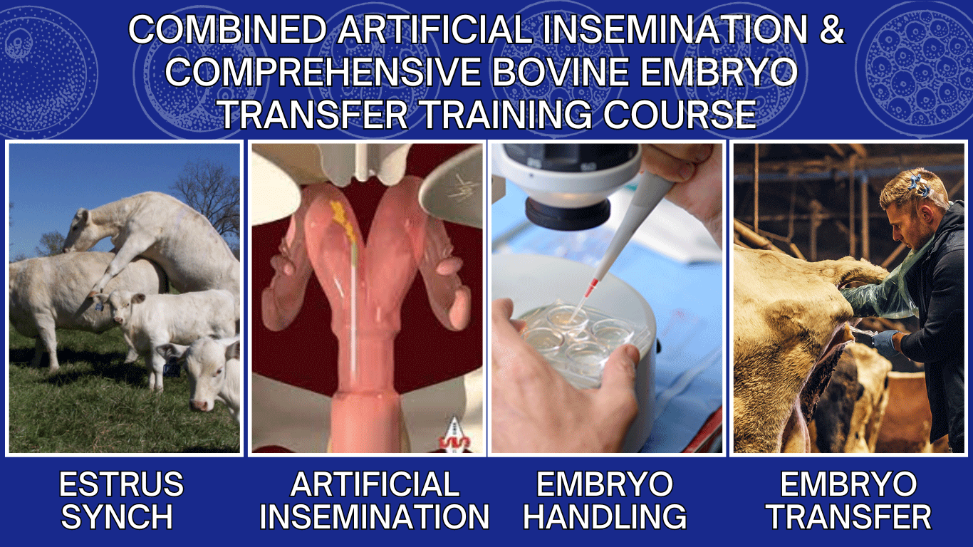 Artificial Insemination and Embryo Transfer Course