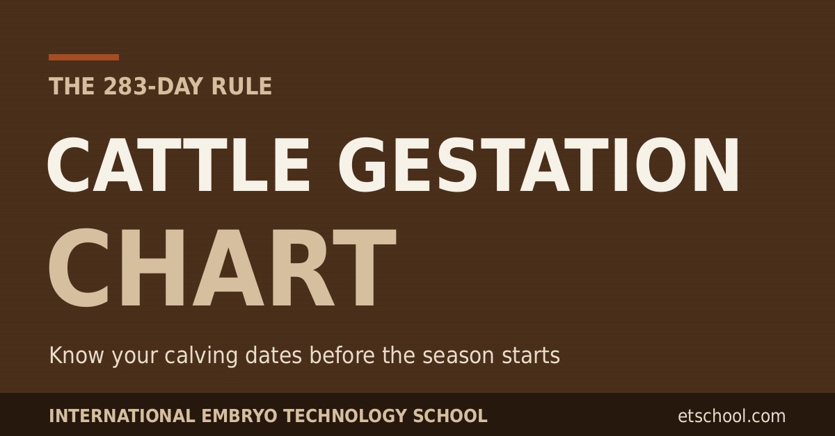 Cattle gestation chart - know your calving dates with the 283-day rule Cattle gestation chart - know your calving dates with the 283-day rule