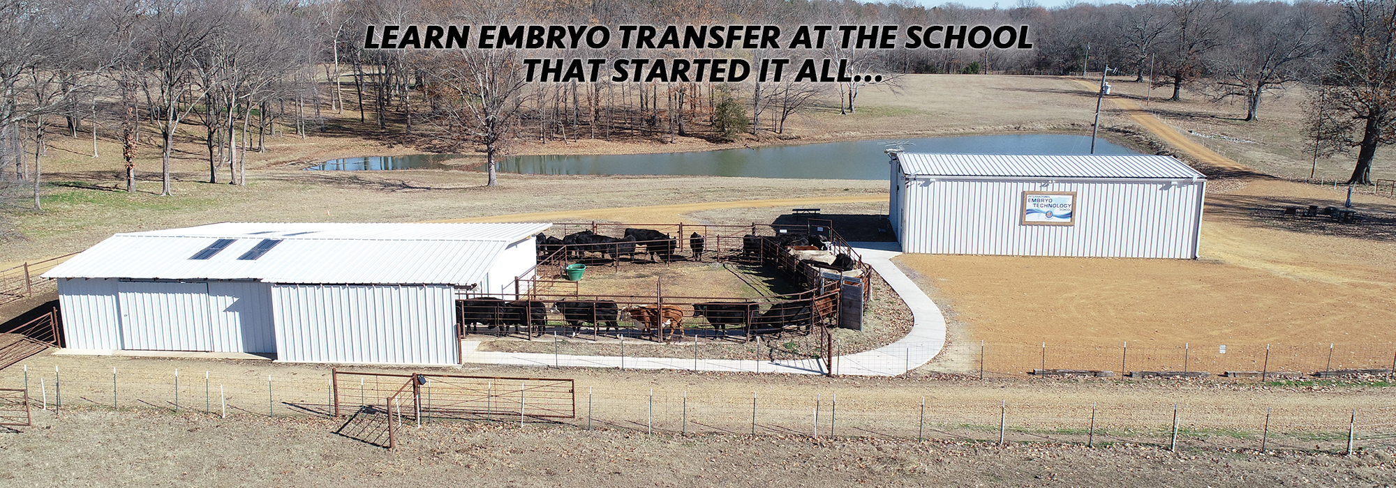 Learn Embryo Transfer at the School that Started It All...