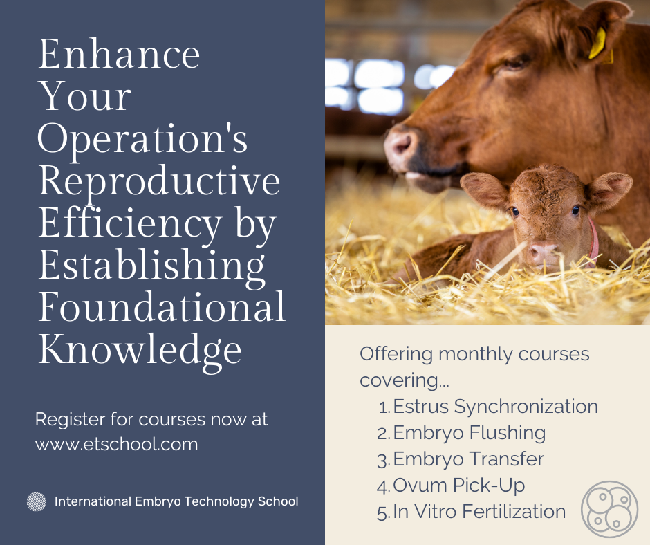 Enhance Your Operations Reproductive Efficiency