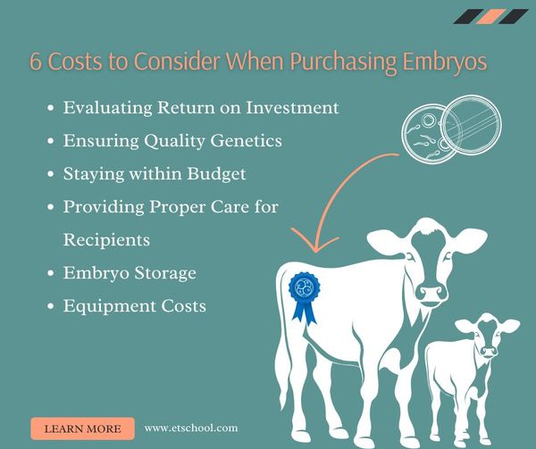 6 Costs to Consider When Purchasing Embryos