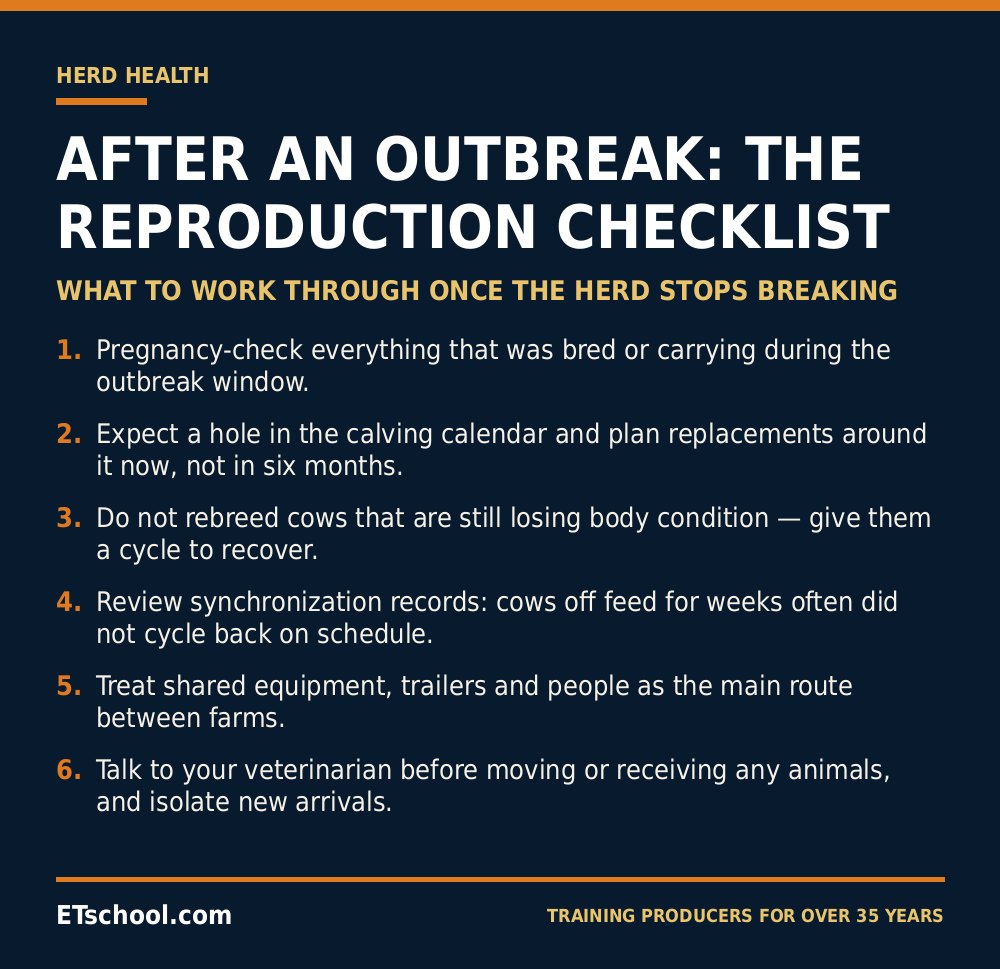 Numbered reproduction checklist for a dairy herd recovering from an H5N1 outbreak