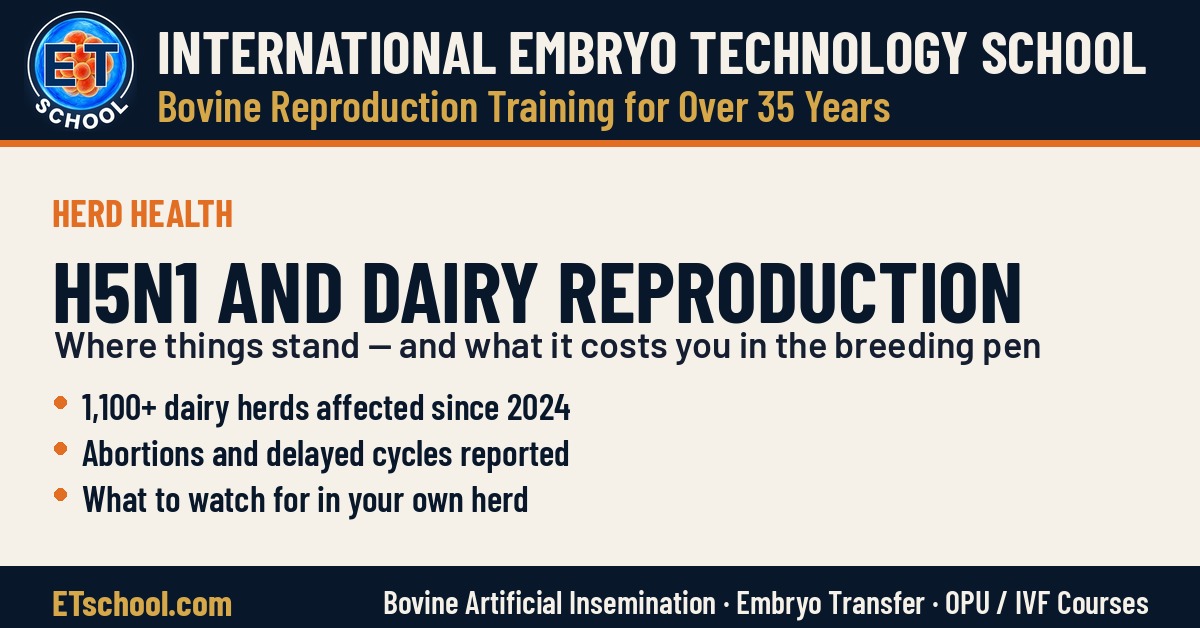 H5N1 in dairy cattle and its effects on reproduction and the breeding pen