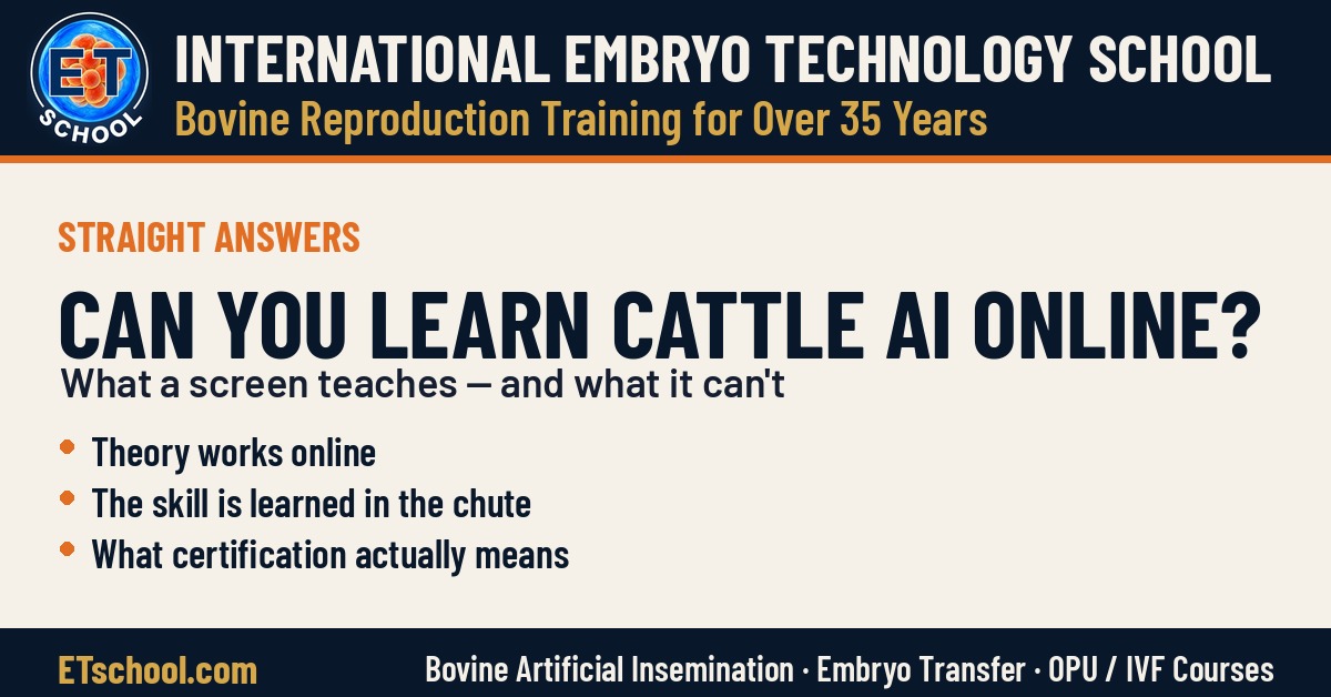 Can you learn cattle artificial insemination online - what a screen can and cannot teach