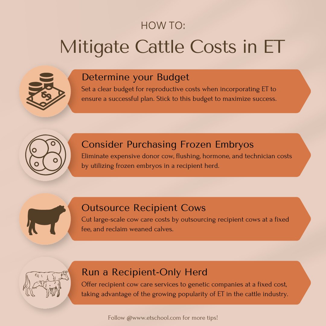 How To Mitigate Cattle Costs in Embryo Transfer