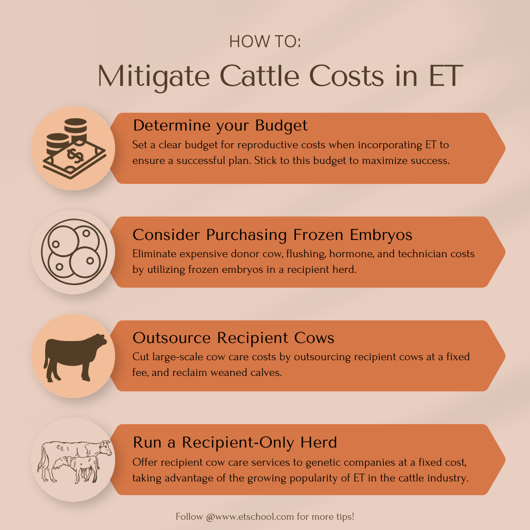 How To Mitigate Cattle Costs in Embryo Transfer