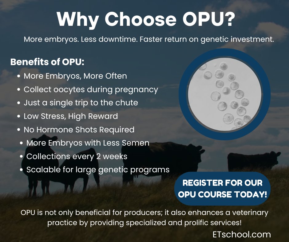 Benefits of Using Ovum Pick-Up (OPU)
