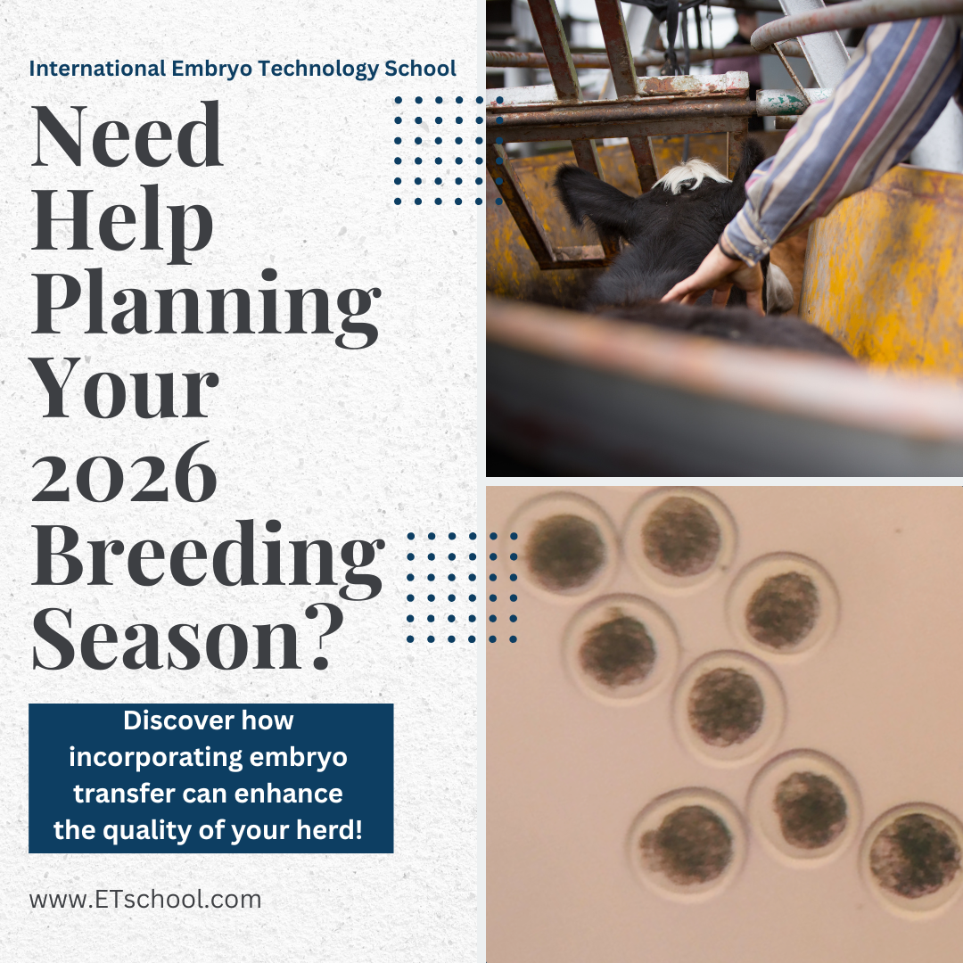 New Year, New Genetics: Why January Is the Best Time to Plan Your ET Program