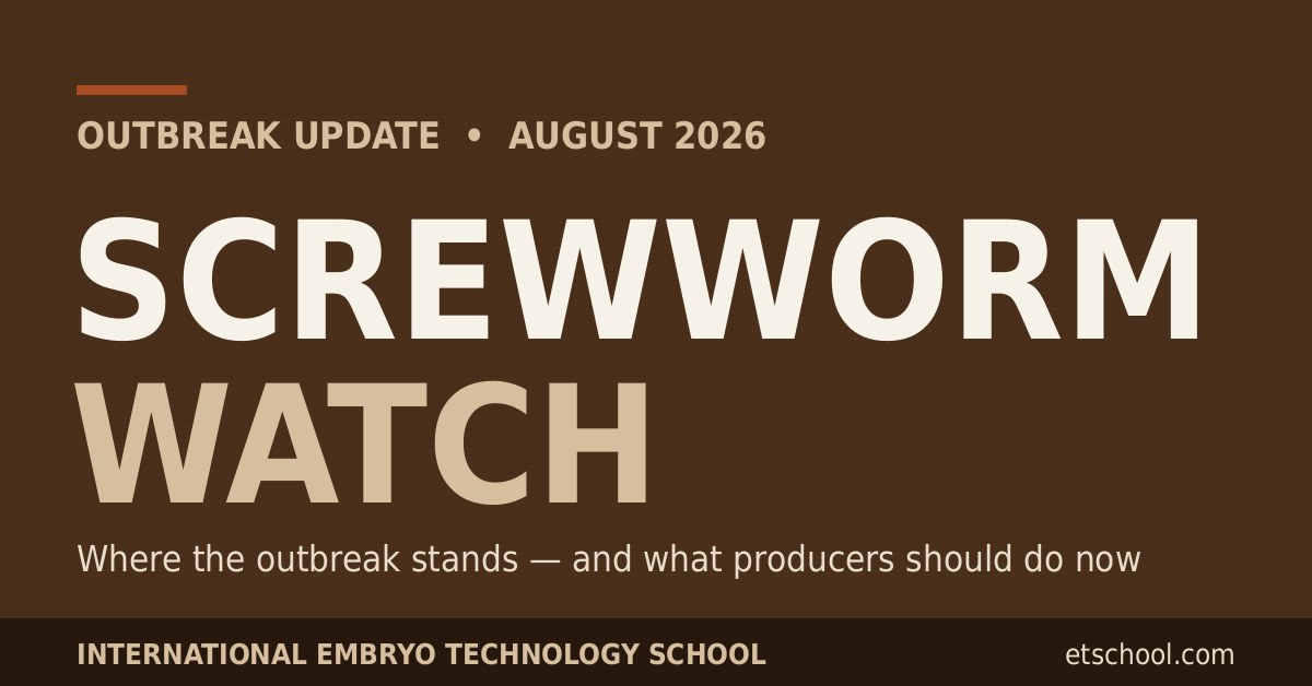 New World screwworm outbreak update for U.S. cattle producers - August 2026 New World screwworm outbreak update for U.S. cattle producers - August 2026