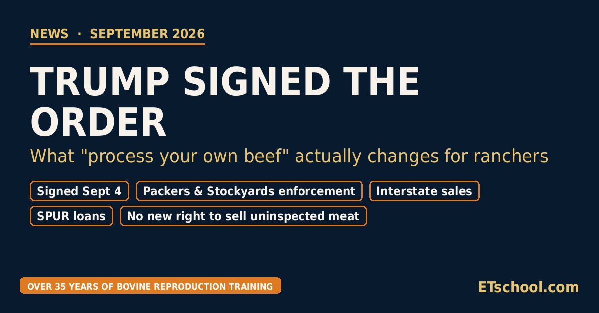 Trump signed the order: what process your own beef actually changes for ranchers, September 2026