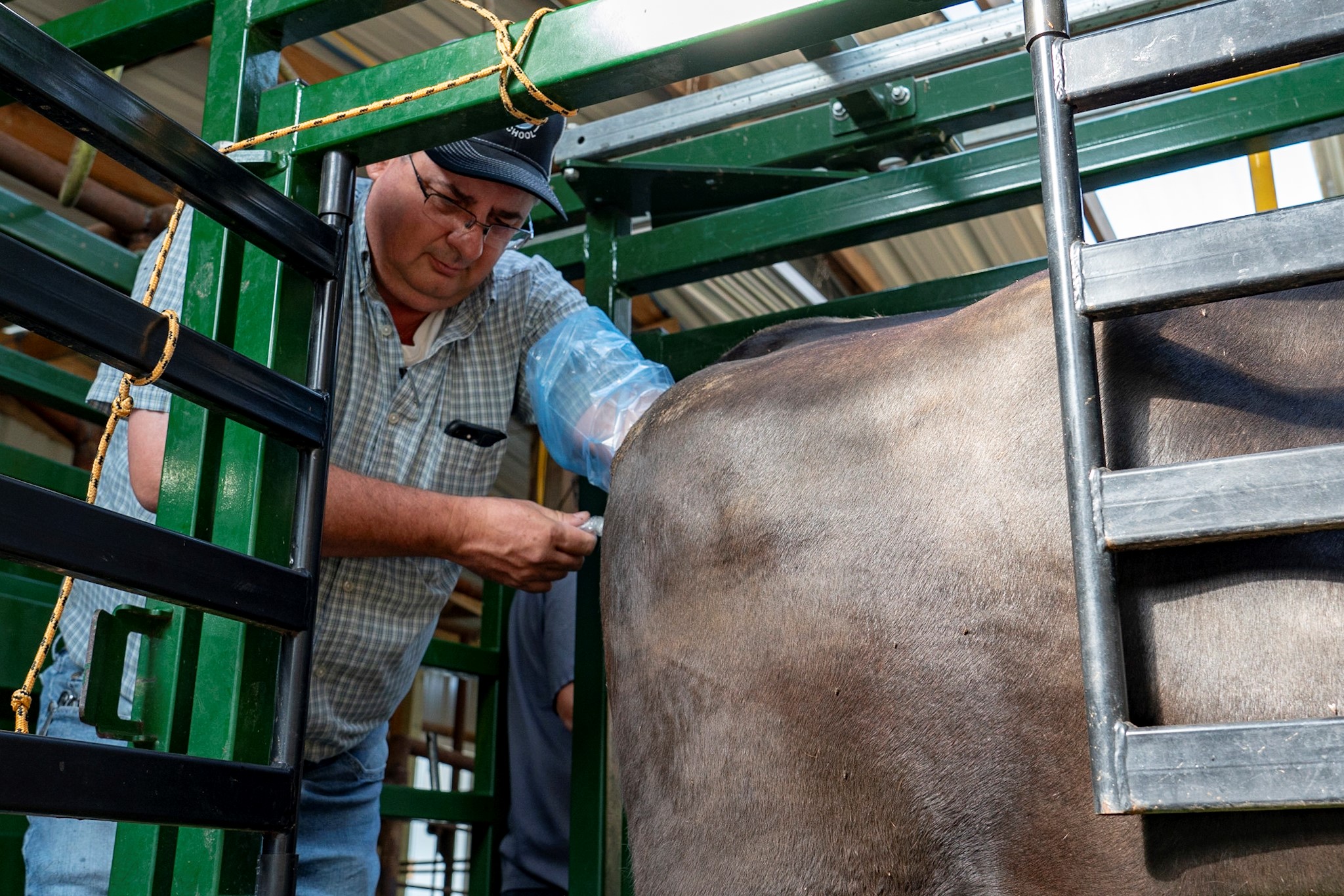 Hands-On Learning Embryo Transfer