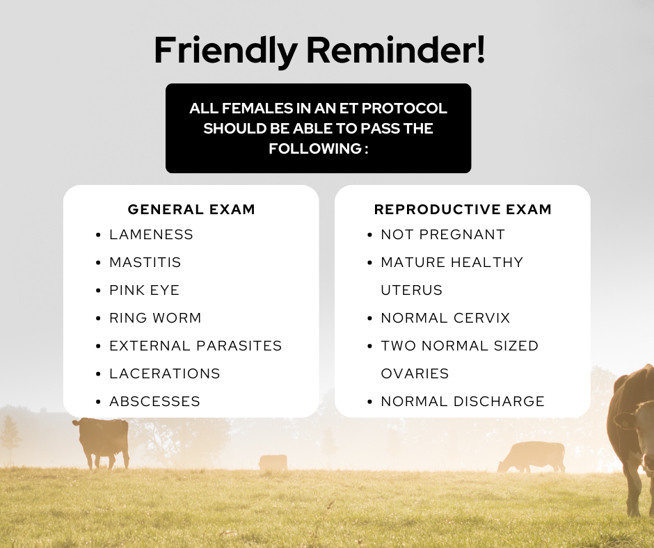 donor cows and recipients should meet minimum criteria before being assigned a role within an embryo transfer program