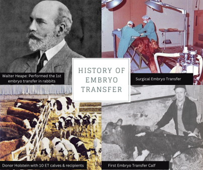 History of Embryo Transfer
